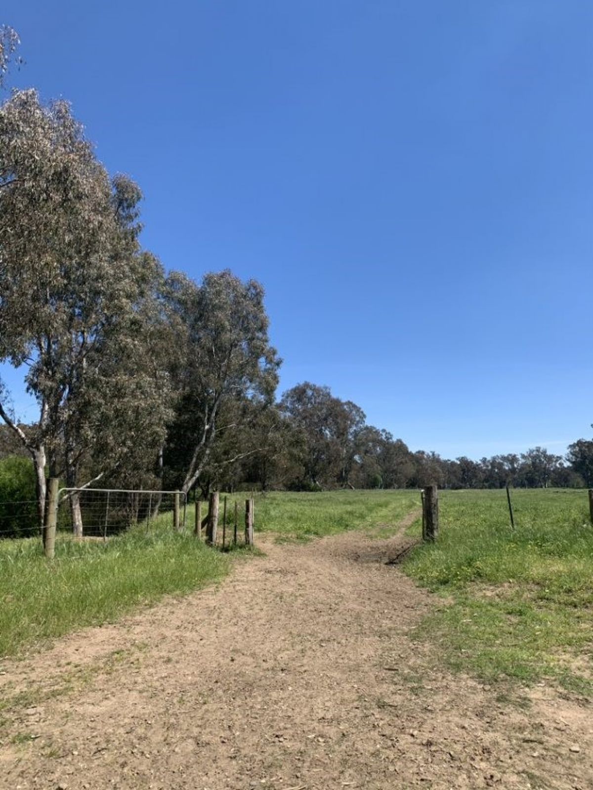 Start of camping area looking west