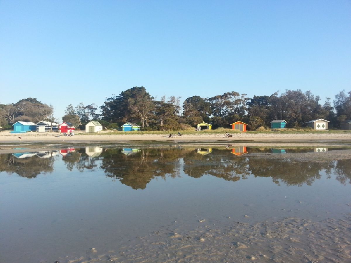 Whitecliffs Foreshore Reserve cabins up close